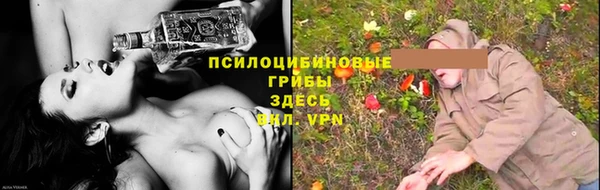 прущие крисы Армянск