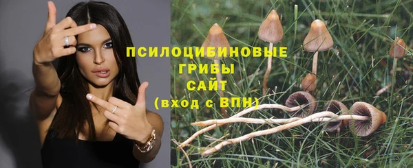 а пвп мука Арсеньев