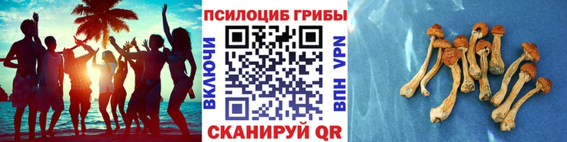Галлюциногенные грибы GOLDEN TEACHER  купить   Сегежа 