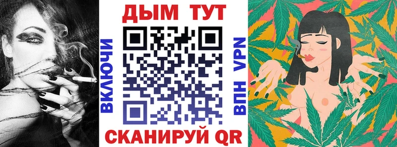 Бошки Шишки план  Сегежа 